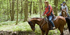 Onspannende Natuur Belevenis